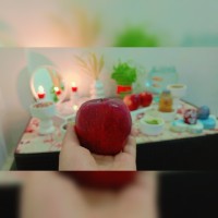 نوروز1403⭐⭐