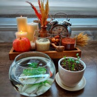 هفت سین ۱۴۰۳