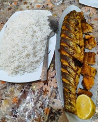 شکم پر ماهی سفید