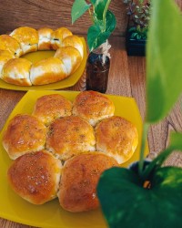 نون لانه زنبوری