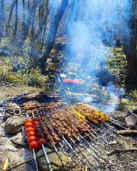 کباب گوشت و مرغ