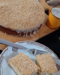 کیک شنی ۱۴۰۳/۰۱/۲۳