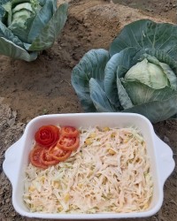 سالاد کلم با سبزیجات