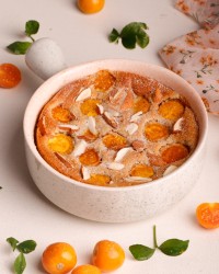 کلافوتی فیسالیس