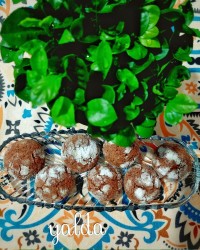 کوکی کافی شاپی