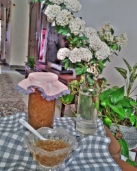 مربا بهارنارنج