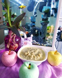 غذای محلی لرستان کنگر شیر