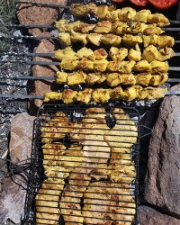 کباب درطبیعت یک روز عالی