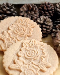 بیسکوییت وانیلی