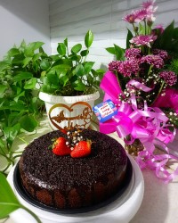 کیک شکلاتی اسپرسو