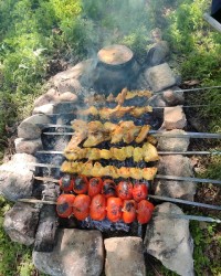 کباب درطبیعت