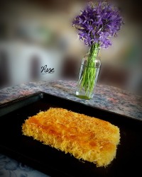 کنوفه ترکیه ای