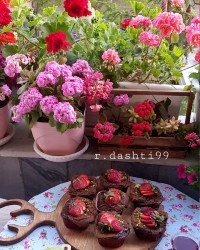 کاپ_کیک_شکلاتی