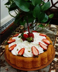 کیک اسفنجی فوق پنبه ای