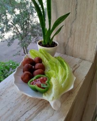 توپک سوخاری فوری