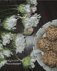 یا صادق آل محمّد (ع) ⁦☘️⁩