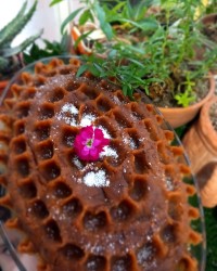 حلوا پنج آرد مجلسی ورق بزن گلم