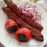 کباب کوبیده گالری گردی