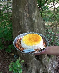 ماهی کیلکا ورق بزن گلم