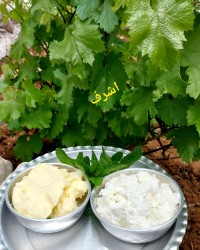 کره و (شیراز)محلی