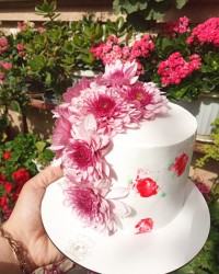 صبحونه ی دوستانه