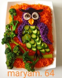 دیزاین سالاد فصل