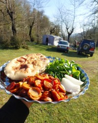 صبحانه تو دل طبیعت