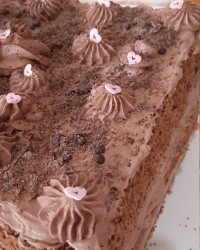 شیت کیک شکلاتی