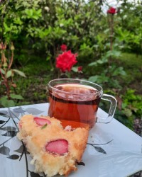 پای پسته و توت فرنگی