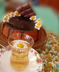 دمنوش بابونه