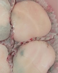 موچی خامه ای