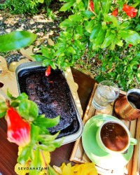 روز اردیبهشتی