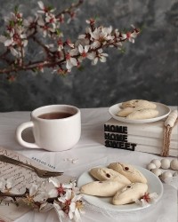 شیرینی شستی زنجان