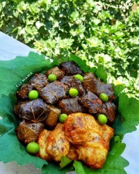 دلمه برگ مو و کلم