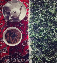 آش ماش