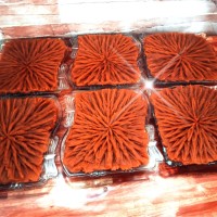 حلوا خیرات عموی عزیزم