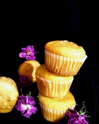 به وقت ۱۴۰۳/۳/۱۳