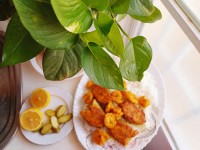 ماهی ومیگو پفکی