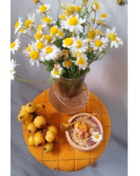 دسر انبه شمال دسر میوه بهاری (پست تشکر)