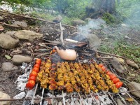 جوجه کباب در طبیعت