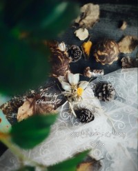 عشق آسمانی⭐