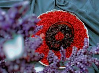 ترشک زرشک و شاتوت