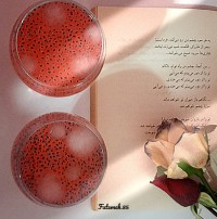 شربت ریحان