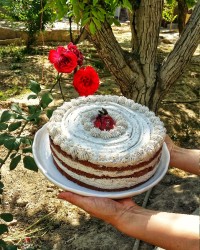 کیک شکلاتی کافیشاپی