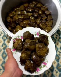 دلمه برگ مو