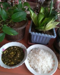 چلو قرمه سبزی.