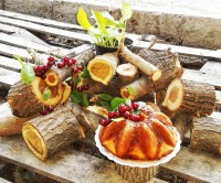 کیک پایه آلبالو