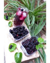 شربت ومربای توت سیاه