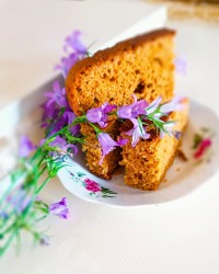 کیک شیره رژیمی