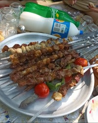 کباب بره ورق بزن عزیزم